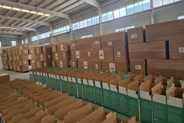 LEAMAI packaging and shipment
